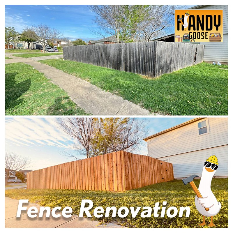 Fence Renovation