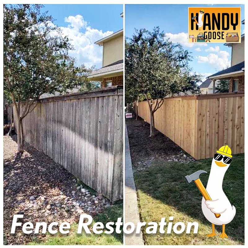 Fence Restoration